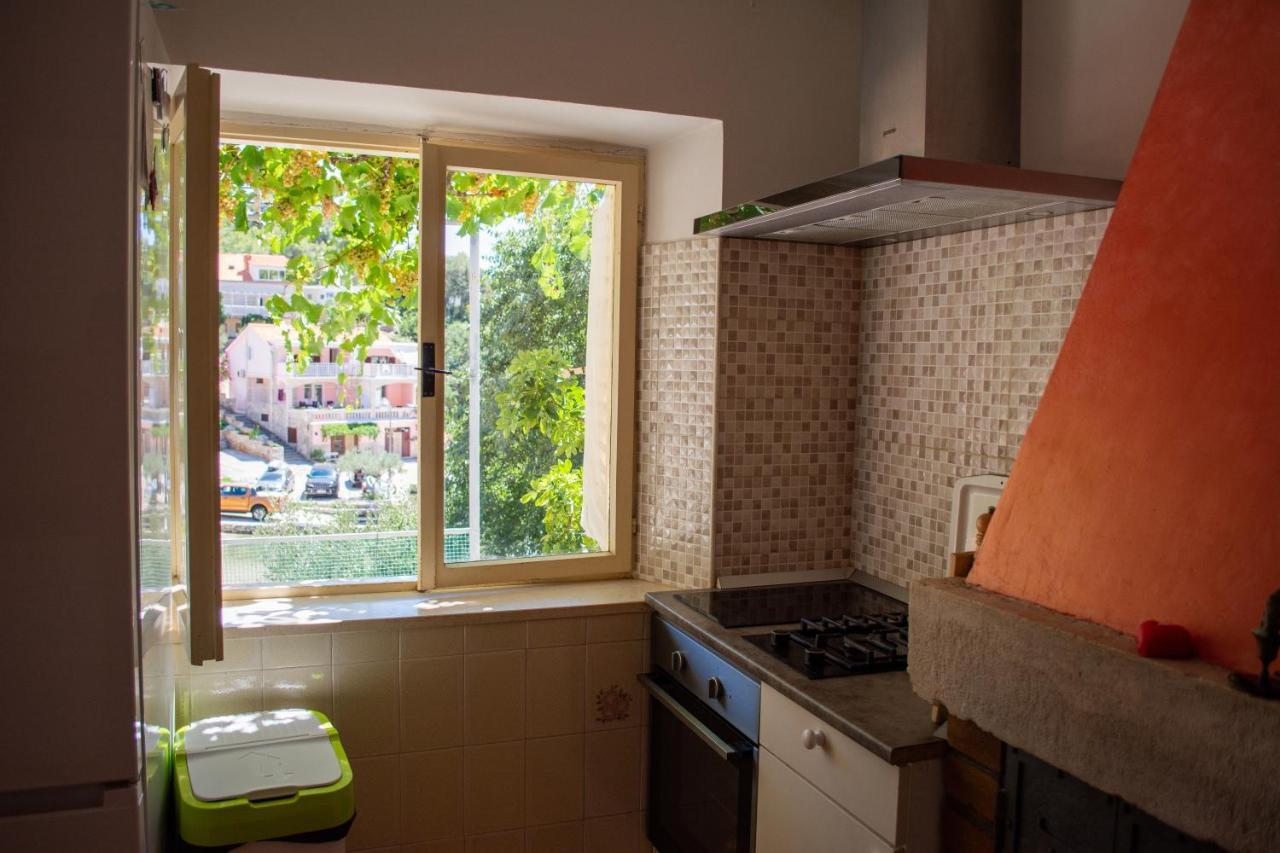 Stone House Dioniz Villa Brnistrova Екстериор снимка